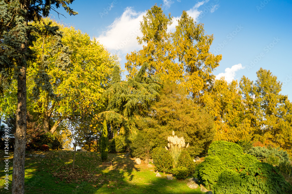 Fototapeta premium Colorfull italian park with trees and autumn colors