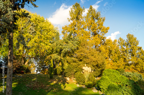 Fototapeta Naklejka Na Ścianę i Meble -  Colorfull italian park with trees and autumn colors