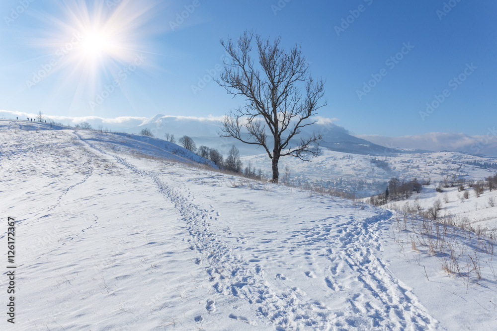 Winter landscape with lots of snow and trees Winter landscape with lots of snow and trees