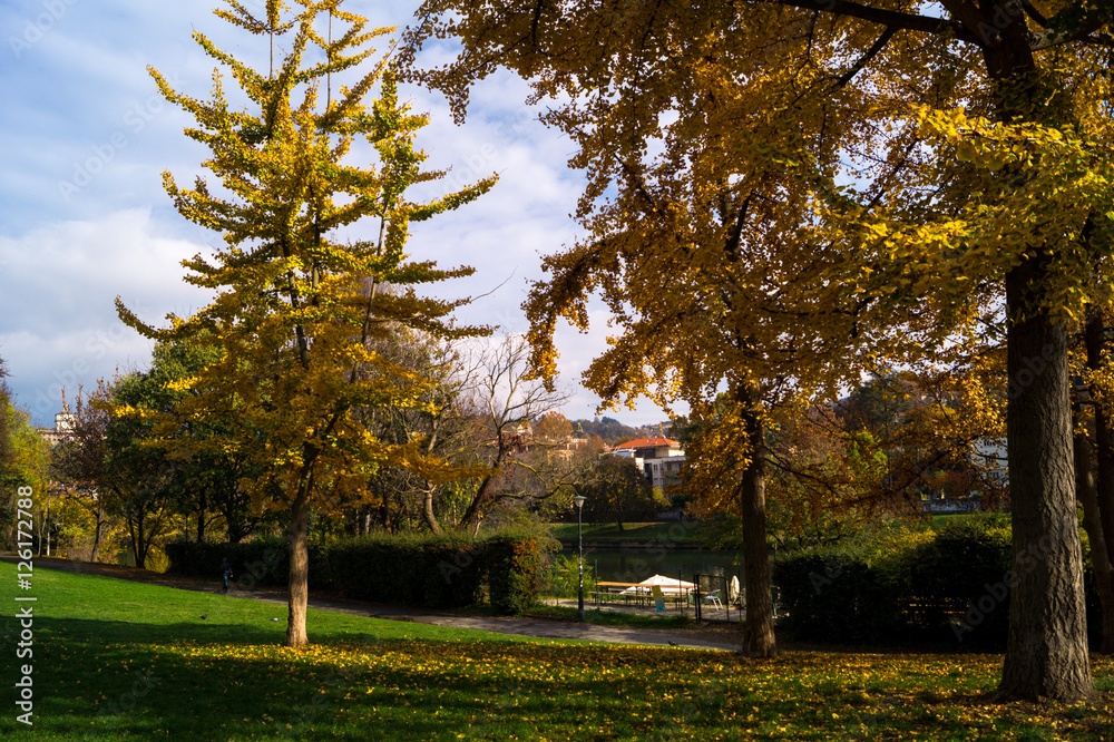 Fototapeta premium Colorfull italian park with trees and autumn colors