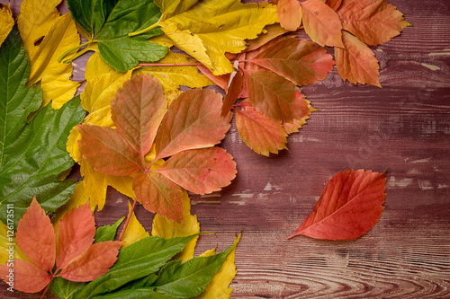 feuilles d'automne sur une vieille planche de bois, avec une feuille isolée