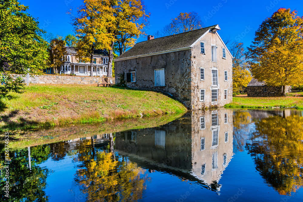 Fototapeta premium Fall colors