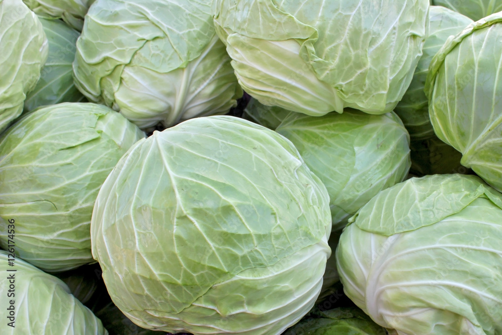 Cabbage on the market in Bulgaria 