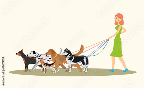 Cute red-haired girl walking many dogs of different breeds