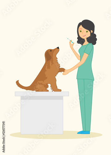 Cute woman veterinarian examines dog breed golden retriever. In his hand he holds a syringe. Vector illustration