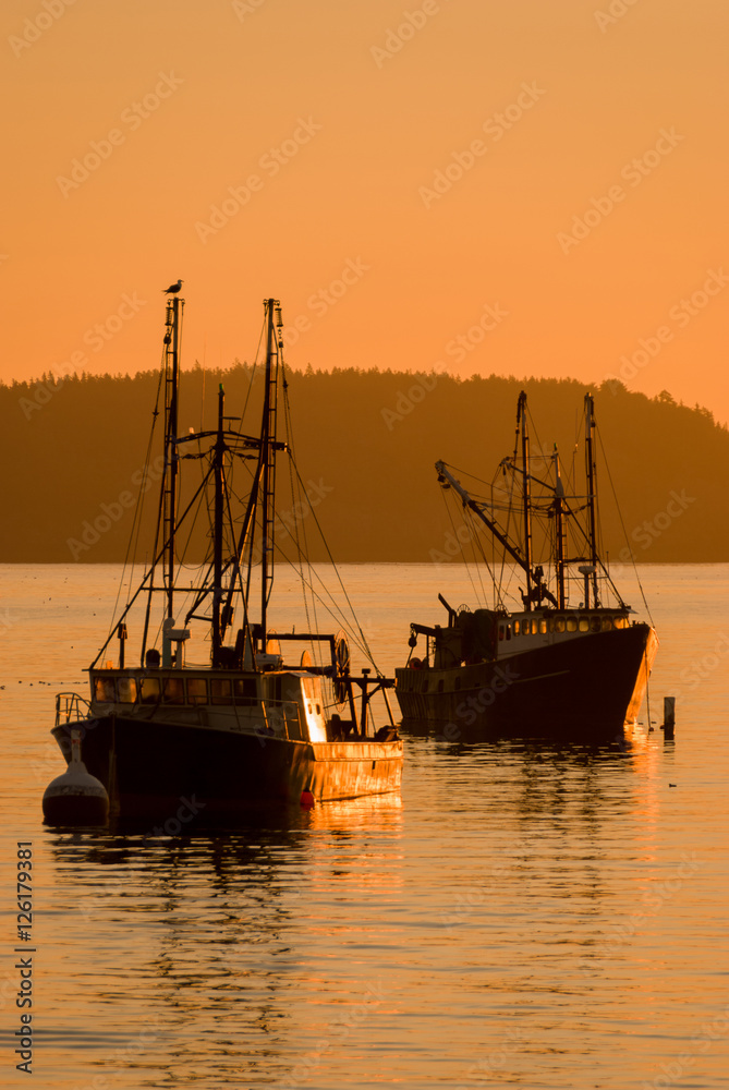 Boats In Bar Harbor, MN