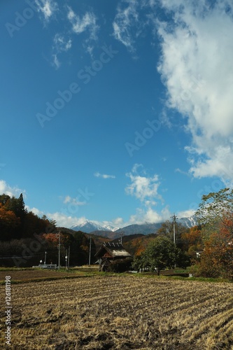 秋の農村/農村の閑散期の風景