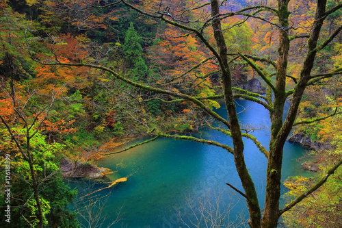 紅葉の抱返り渓谷