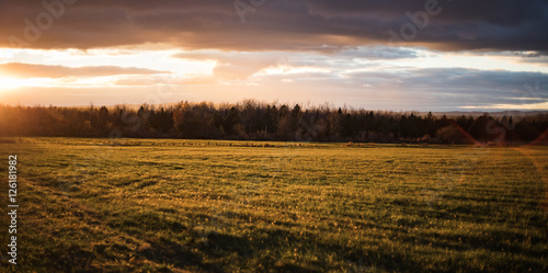 Sunset in a field © Raphael