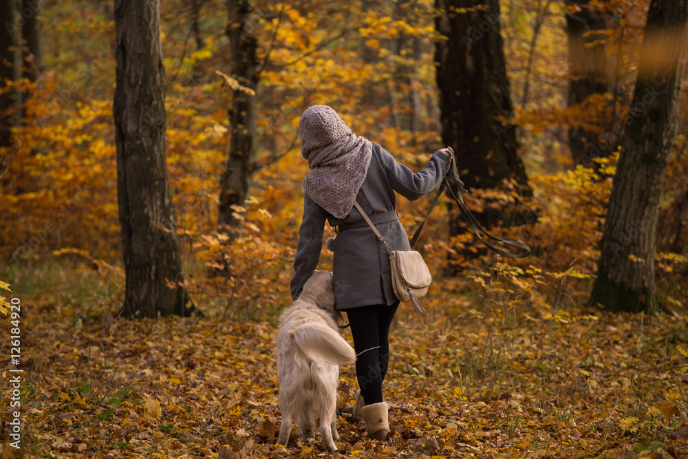 Fototapeta premium girl with a dog on a leash is on the road a golden retriever