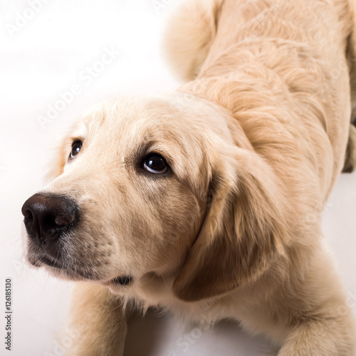 contorts face, sitting in the studio, white background