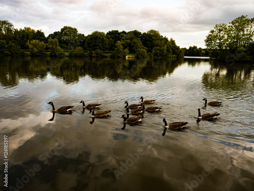 lake