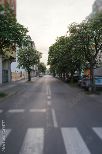 zebra crossing on a road