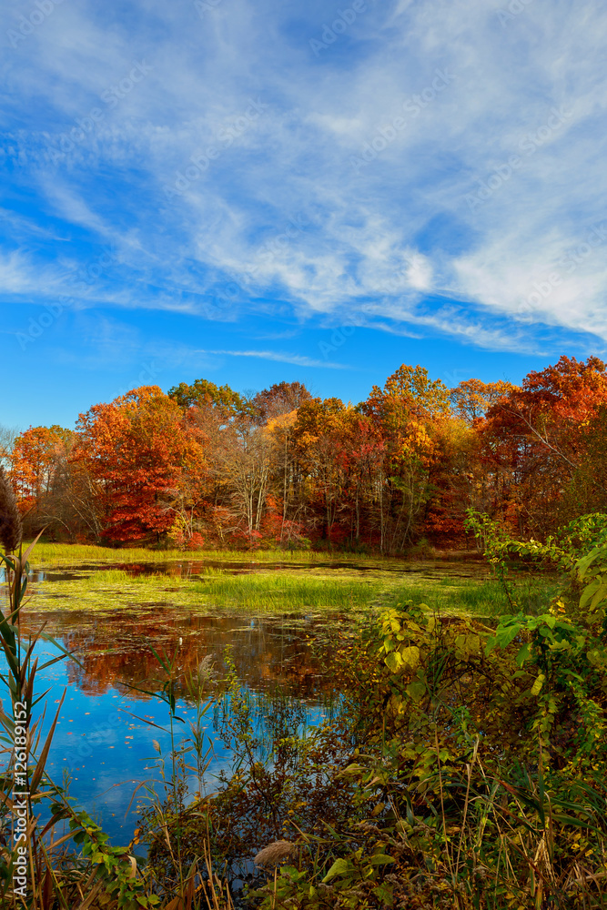 Colorful leaves on trees along lake in autumn, Colorful leaves on trees along lake in autumn,