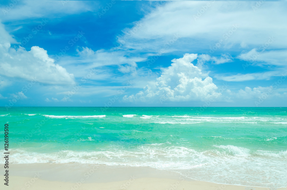 Miami tropical beach and ocean