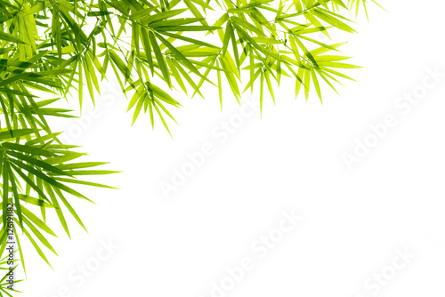 Bamboo leaves