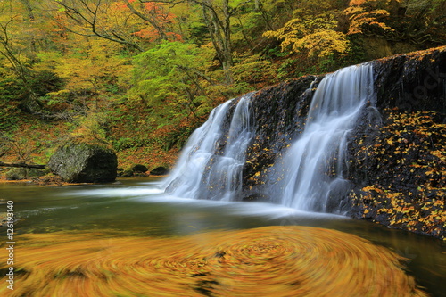 紅葉の一の滝 © yspbqh14
