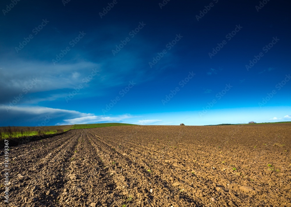 Plowed field under blue sky landscape