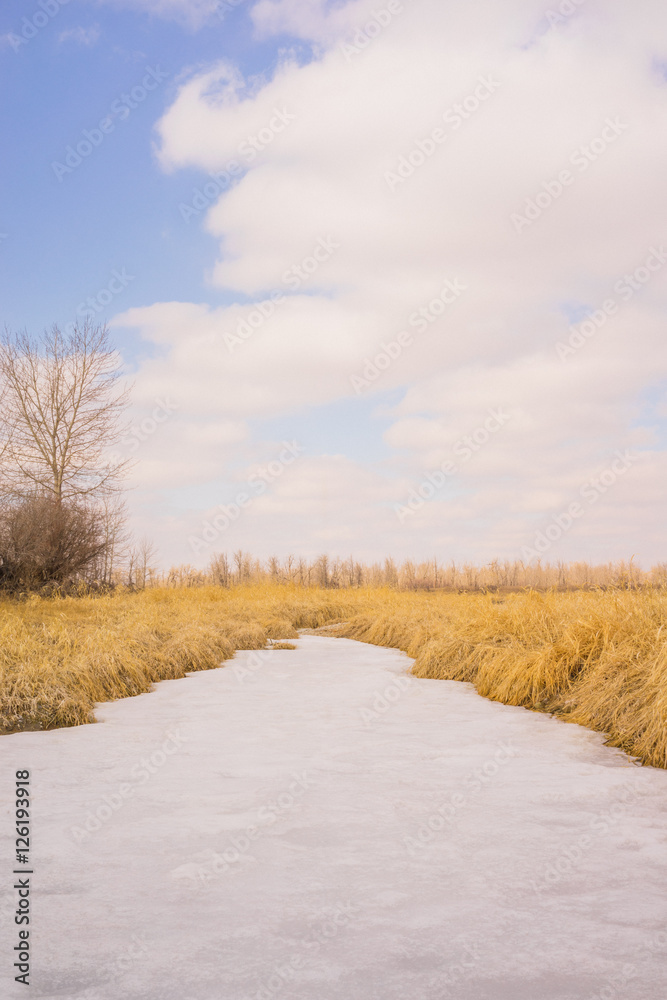 Portrait landscape of a frozen creek Portrait landscape of a frozen creek