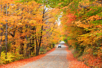 Scenic drive in White mountain national forest in New Hampshire