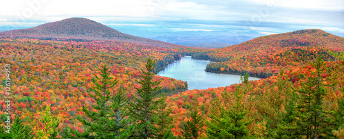 Panoramic view of Groton national forest in Vermont photo