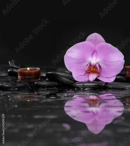 still life with pink orchid and candle on black stones 