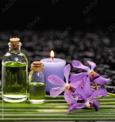 bamboo grove with orchid  candle  massage oil on wet background