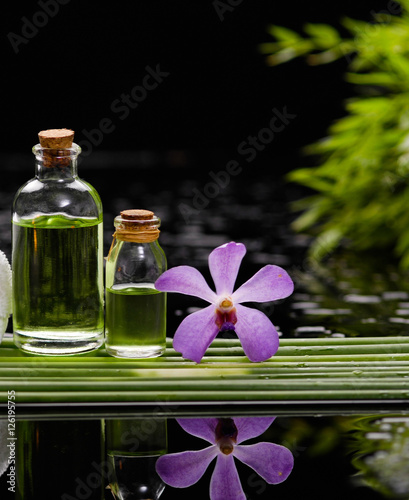 tranquil spa scene- orchid with black stones with candle  oil green plant