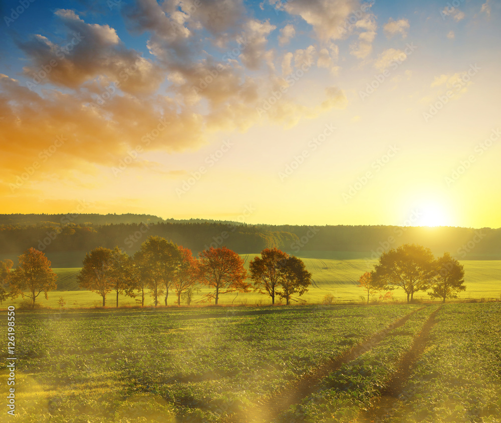 Fototapeta premium Beautiful autumn landscape at sunset.