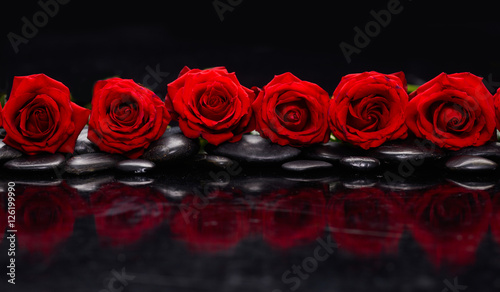 Still life with row of red rose and wet stones reflection