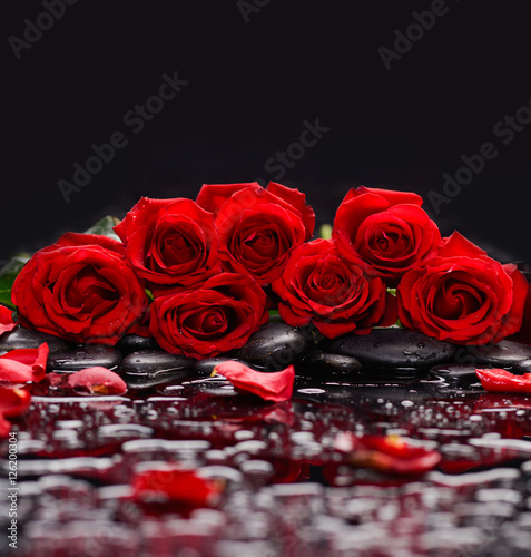 Set of red rose with petals and wet stones 