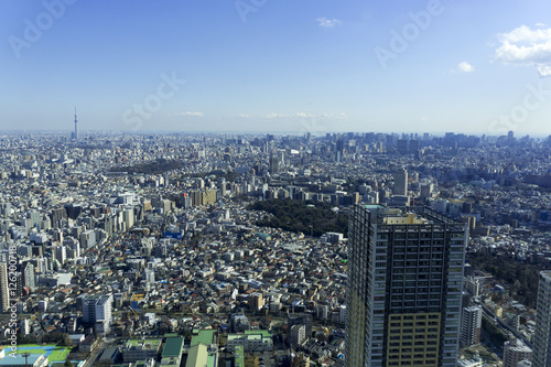 東京都市風景　東京都心全景　超広角　快晴　東京タワー　東京スカイツリー © oka