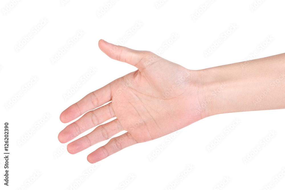 Shaking hand isolated on white background. Clipping path. Shaking hand isolated on white background. Clipping path.