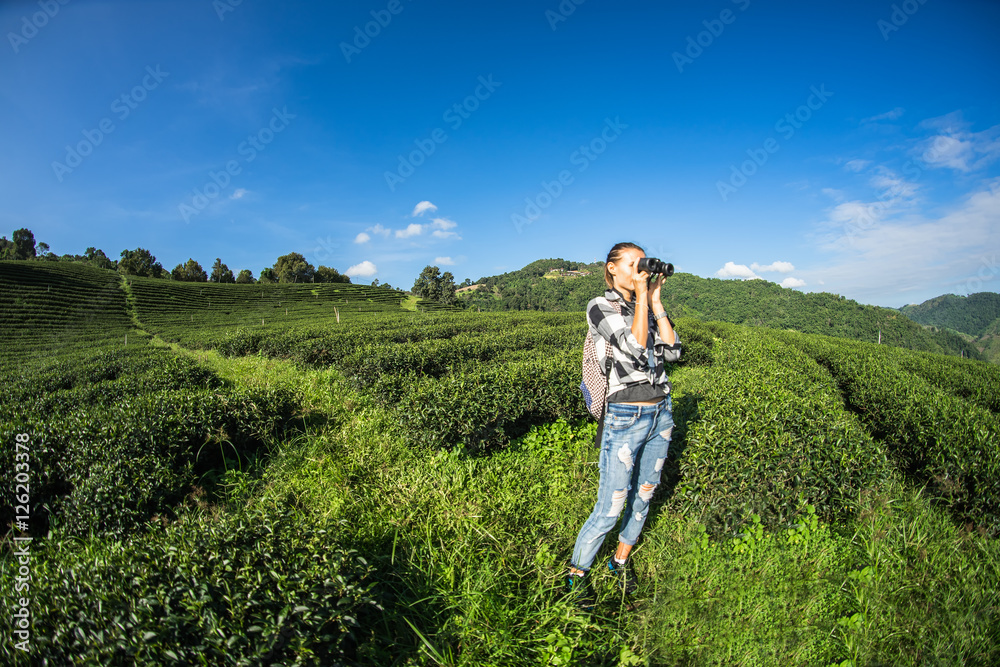 The tourist on the tea field looks in the field-glass at mountains. To look in a distance. The girl with the field-glass dressed vdinsovy trousers, a shirt and a backpack