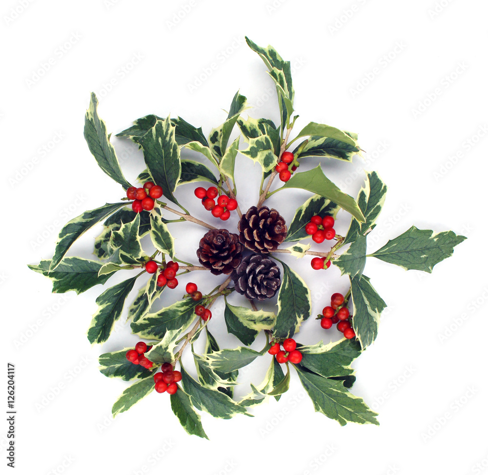 ヒイラギの葉とナンテンの実と松ぼっくりのクリスマスリース Stock 写真 Adobe Stock