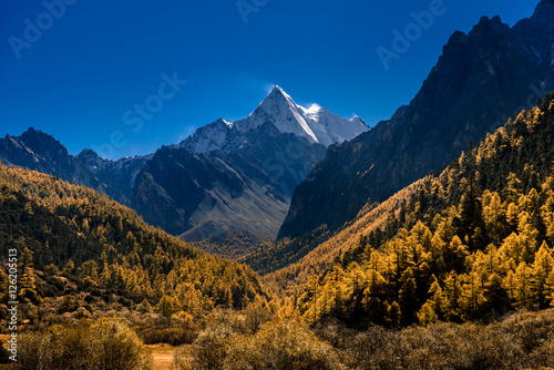 The Snow mountain sanctuary with Autumn tree color at national level reserve in Daocheng County, in the southwest of Sichuan Province, China.