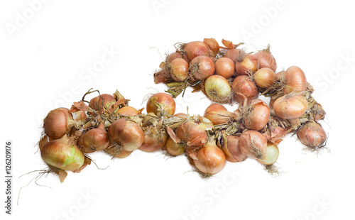 Wreath of onions on a light background