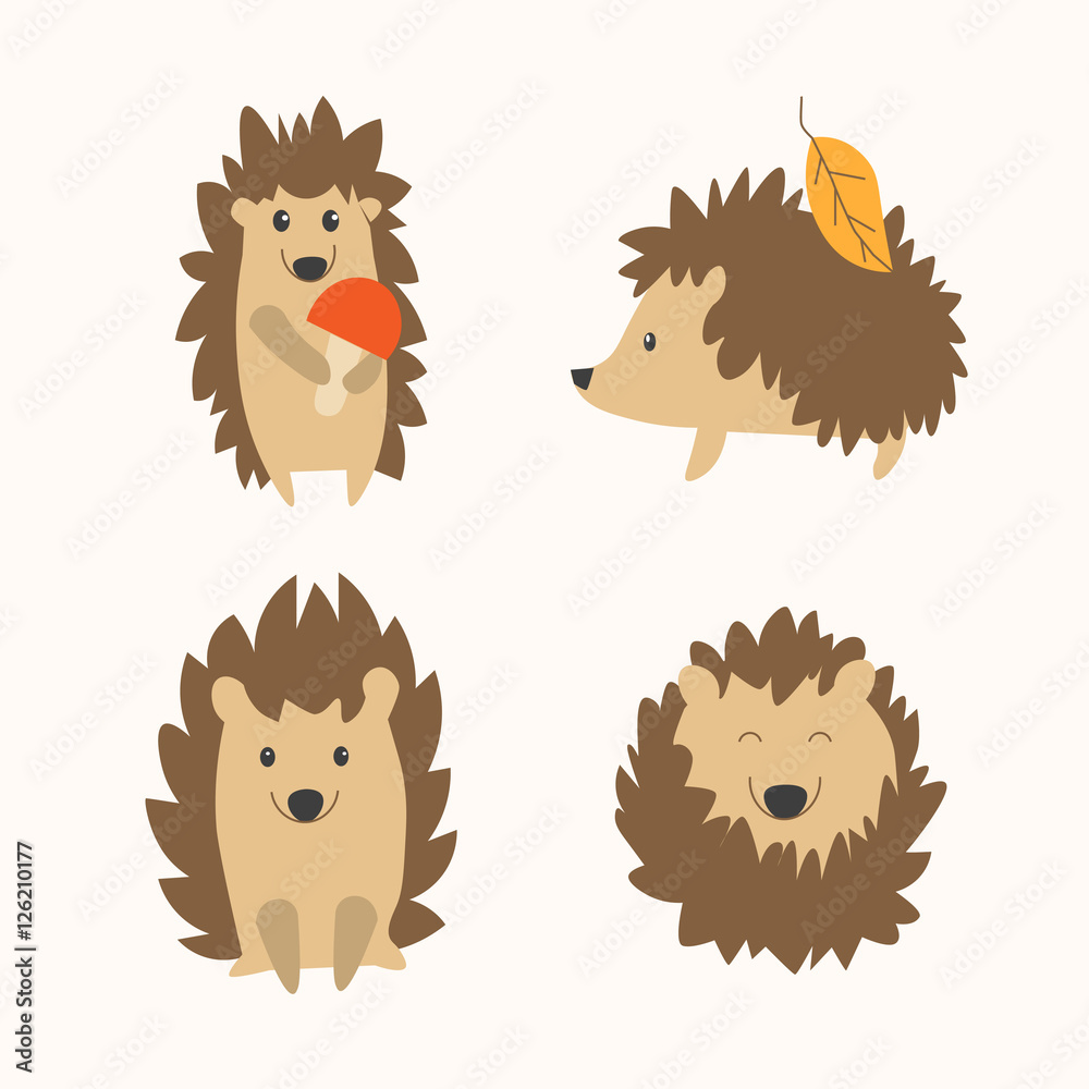 Cartoon Hedgehog Set. Vector