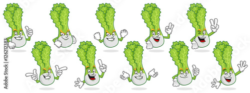 Vector pack of lettuce mascot, vector set of lettuce character, lettuce cartoon vector
