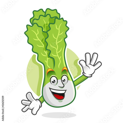 Greeting lettuce mascot, lettuce character, lettuce cartoon, vector of lettuce