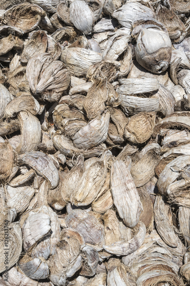 Textured background of dried discarded coconut husks in natural tropical light