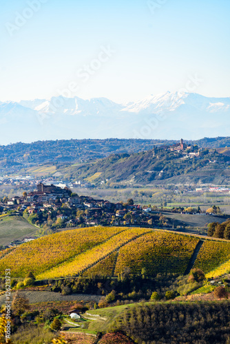 Autumn in northern italy region called langhe with colorful wine