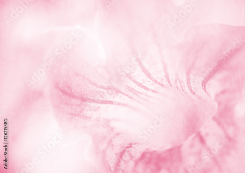 Sweet flower close up can be used for background, unfocused