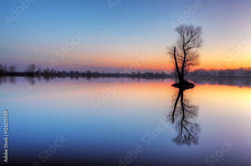 Tree in lake with color sky