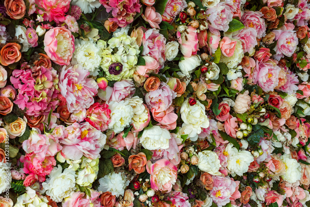 Closeup image of beautiful flowers wall background