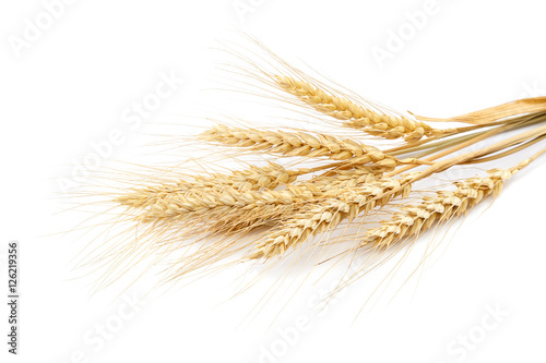 Sheaf of wheat ears on white background.