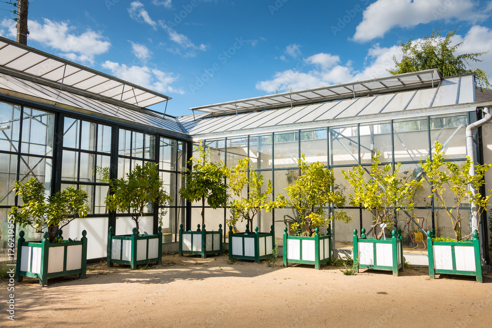 greenhouse of the 