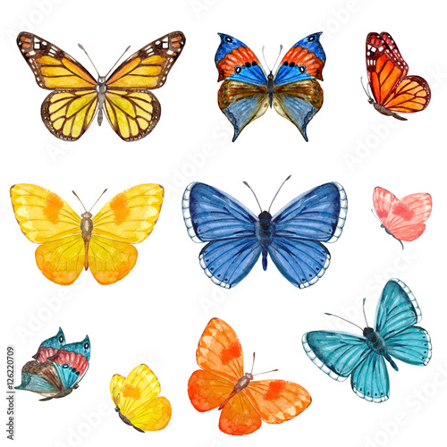 collection of butterflies. watercolor painting