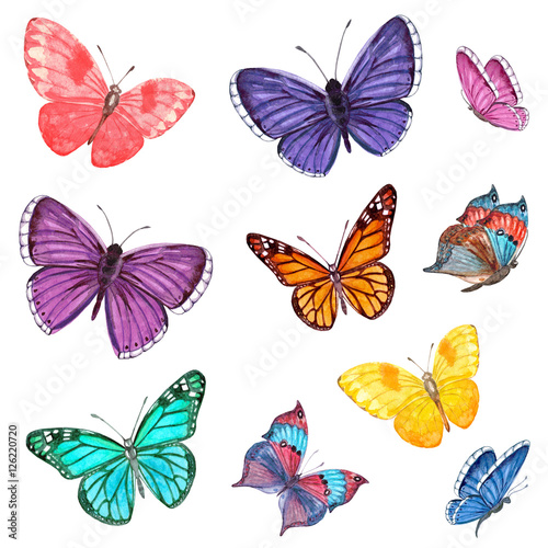collection of flying butterflies. watercolor painting © Aloksa