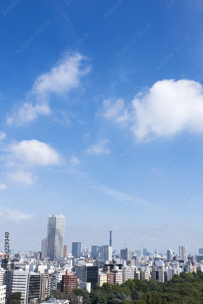 東京都市風景　快晴青空　新宿から望む　東京スカイツリー方面　緑と雲　大空コピースペース